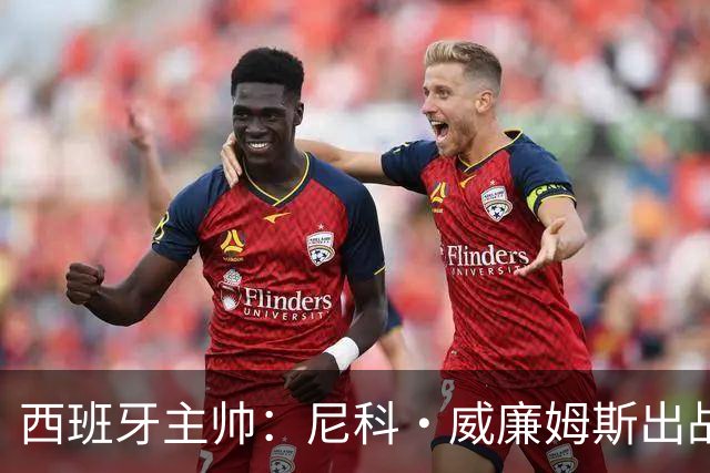 西班牙主帅：尼科·威廉姆斯出战存疑 皮诺或缺席剩余比赛